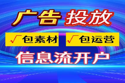 短视频信息流营销实战：小红书的成长之路